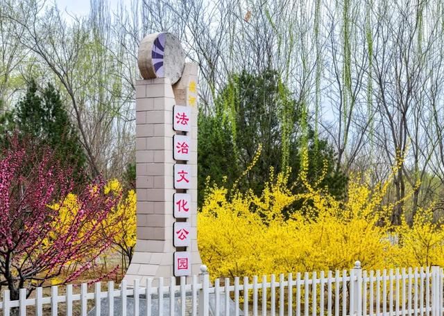 赏美景不聚集“从花海到花港”夏季旅游线路新鲜出炉，赶紧收藏！