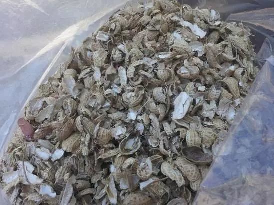 高手在民间，出门捡点松针，煮一煮掺土里，根粗叶绿开花勤