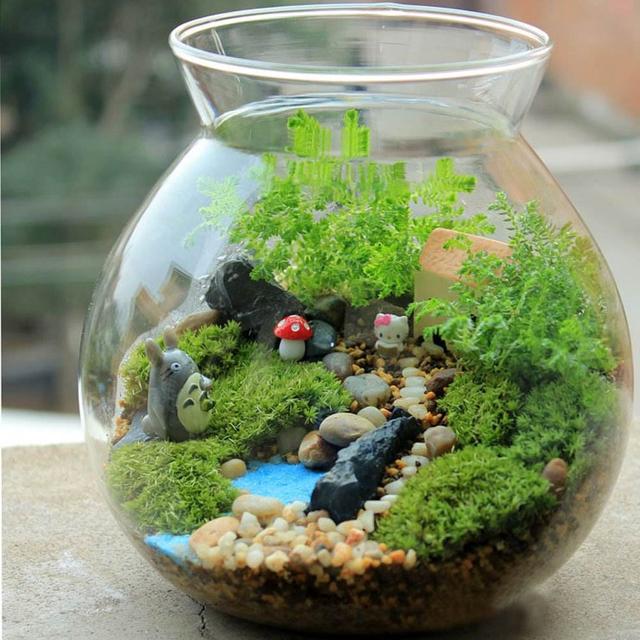 踏青挖点新鲜苔藓，铺在花盆上就是景，精致作用多