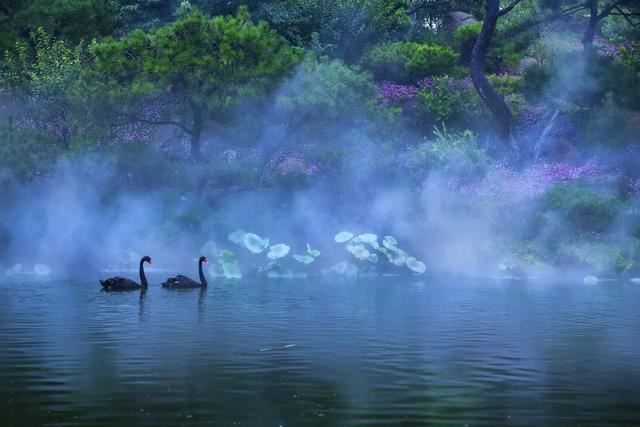 赏美景不聚集“从花海到花港”夏季旅游线路新鲜出炉，赶紧收藏！