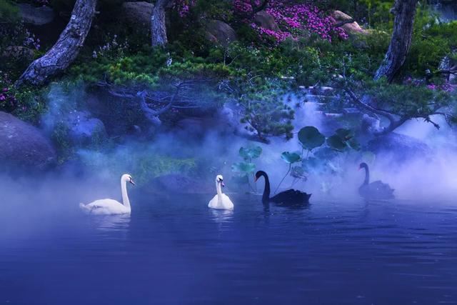赏美景不聚集“从花海到花港”夏季旅游线路新鲜出炉，赶紧收藏！