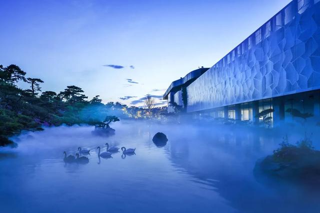 赏美景不聚集“从花海到花港”夏季旅游线路新鲜出炉，赶紧收藏！