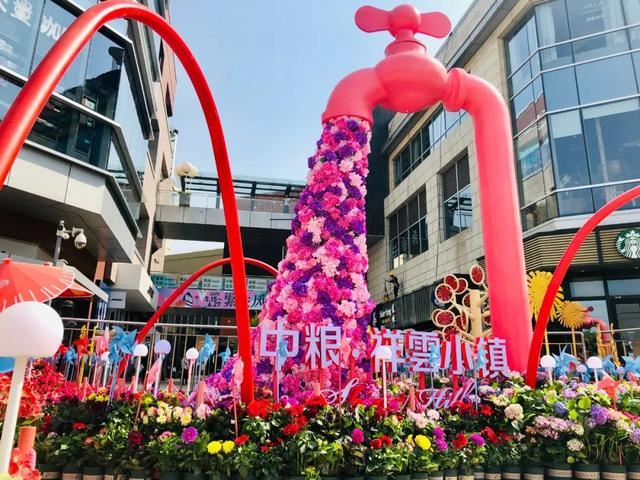 赏美景不聚集“从花海到花港”夏季旅游线路新鲜出炉，赶紧收藏！