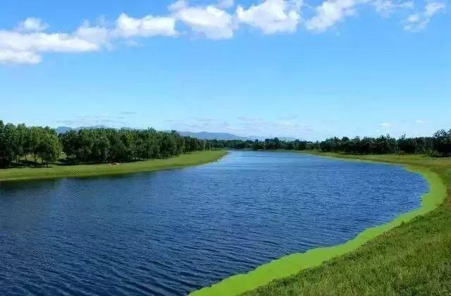 赏美景不聚集“从花海到花港”夏季旅游线路新鲜出炉，赶紧收藏！