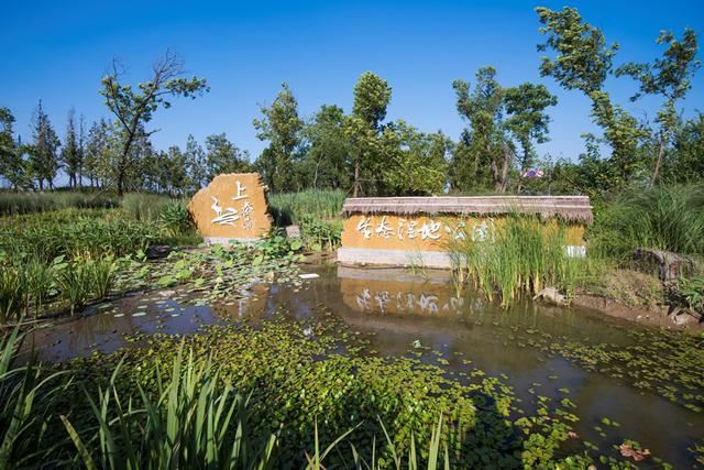 上秦淮湿地公园引导区景观