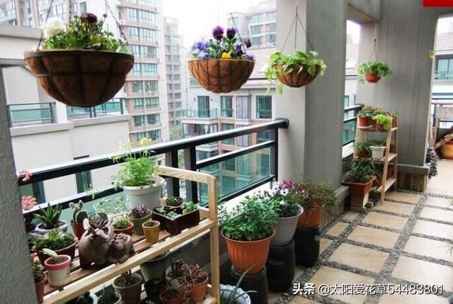 阳台盆栽花放不下怎么办？看看别人家的小阳台大格局