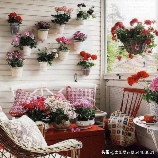 阳台盆栽花放不下怎么办？看看别人家的小阳台大格局