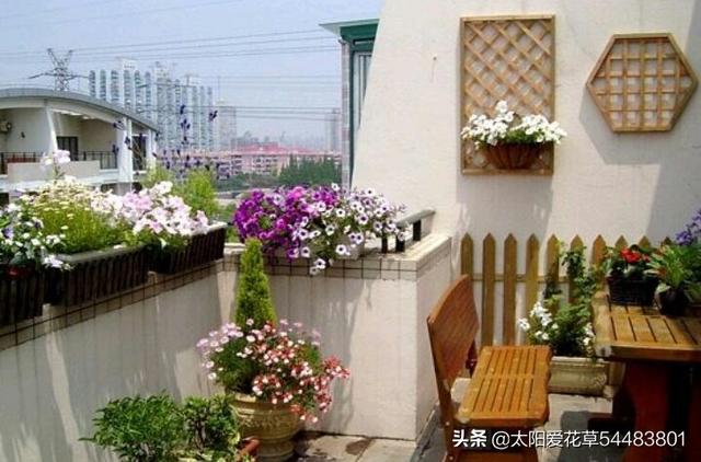 阳台盆栽花放不下怎么办？看看别人家的小阳台大格局