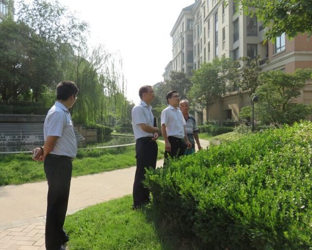 搞明白小区绿地的特点，才能更好的做好绿化栽植养护！