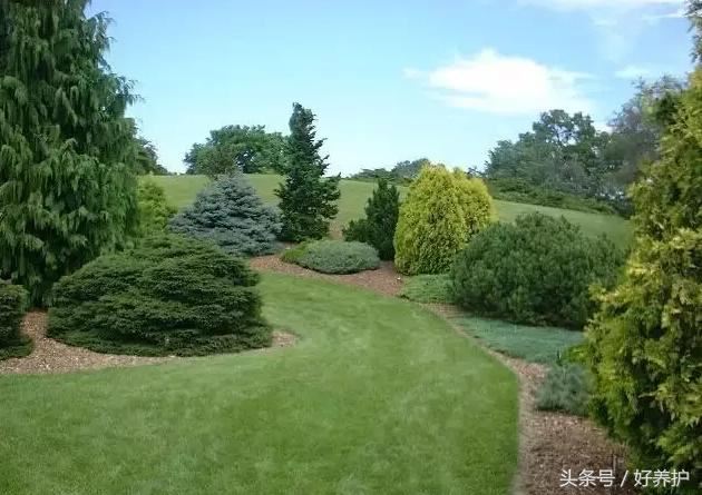 花镜设计有点难？不可不知的20种花镜形式