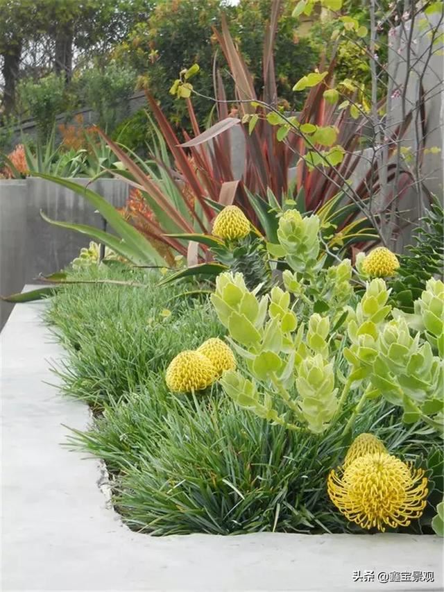 庭院景观设计—花镜是私家花园最美的景观