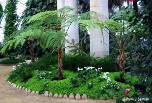 花镜设计有点难？不可不知的20种花镜形式
