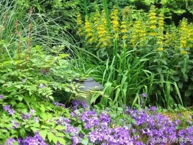 花镜设计有点难？不可不知的20种花镜形式