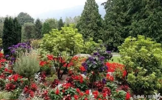 花镜设计有点难？不可不知的20种花镜形式