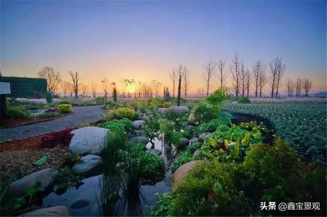 庭院景观设计—花镜是私家花园最美的景观