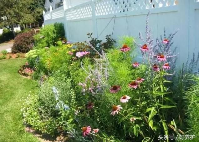 花镜设计有点难？不可不知的20种花镜形式