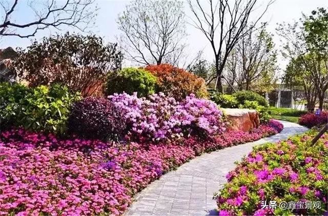 庭院景观设计—花镜是私家花园最美的景观