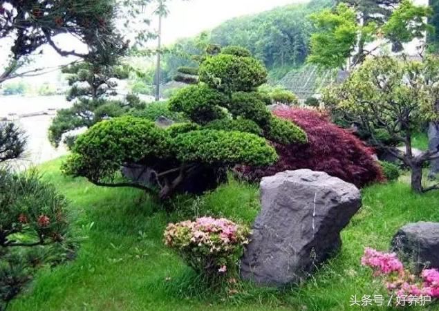花镜设计有点难？不可不知的20种花镜形式