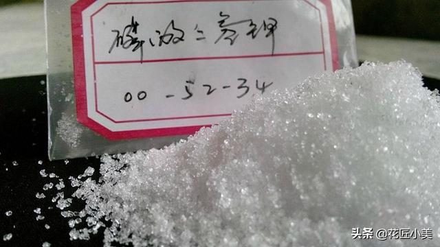 梦幻的蓝色绣球总是调不成功？有4个原因，还有3个注意要点