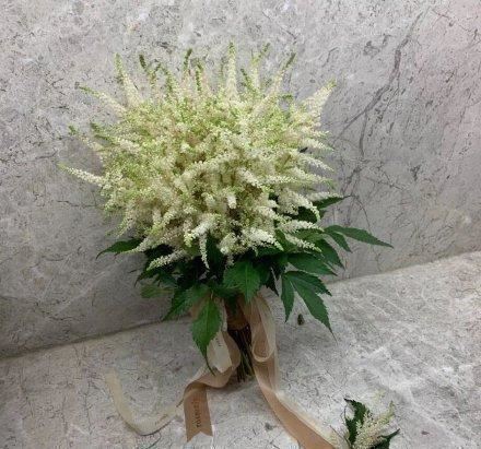 园艺新宠，唯美落新妇，让你的花园更像远方