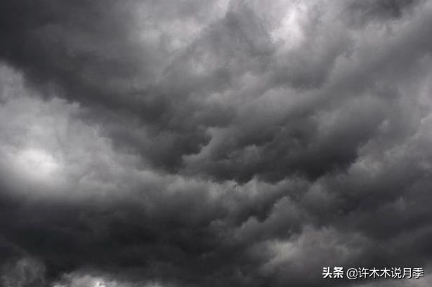 连日阴雨月季如何养护？施肥、喷药两不误，避免烂根有妙招