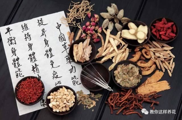 舒城一女子在花盆中丢了几粒过期药片，这些花都长疯了！