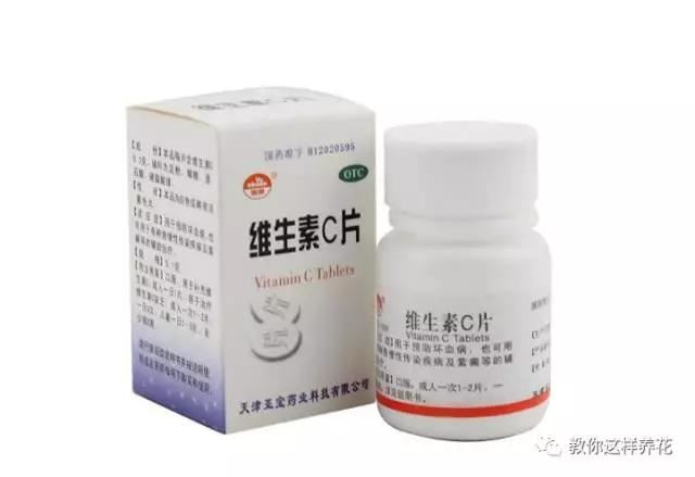 舒城一女子在花盆中丢了几粒过期药片，这些花都长疯了！