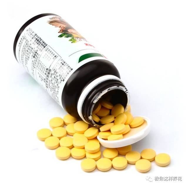 舒城一女子在花盆中丢了几粒过期药片，这些花都长疯了！