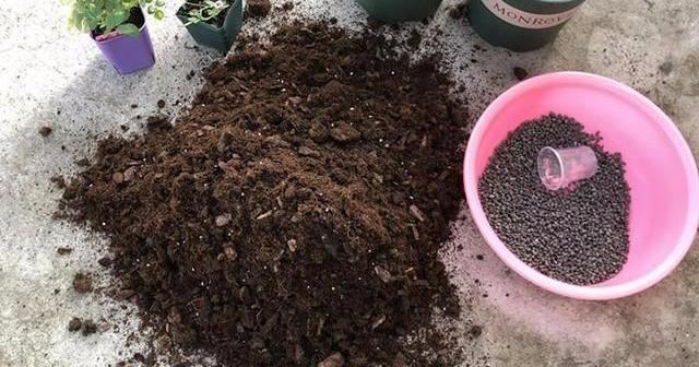 兰花烂根别扔，对应“4种”病害症状，附防治手册，收藏备用