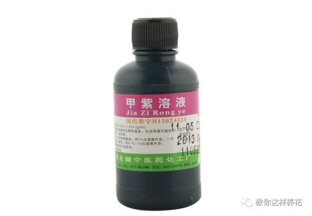 舒城一女子在花盆中丢了几粒过期药片，这些花都长疯了！