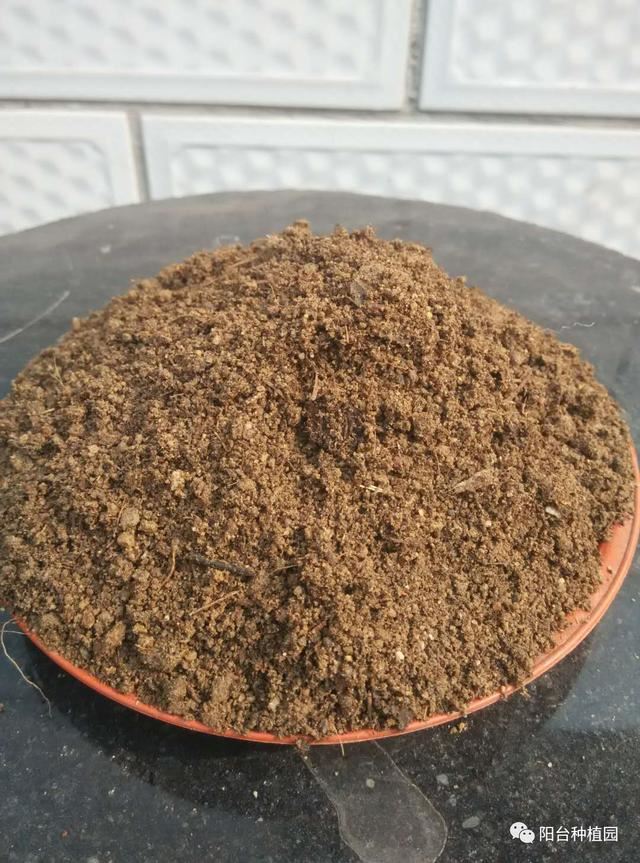 红火簇拥的幸福之花—牡丹吊兰，这么养，花朵如瀑布一般开放