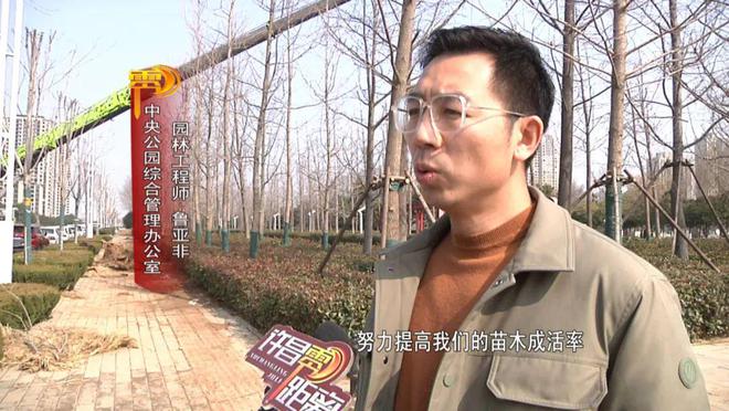 不负春日好时光 绿化造园施工忙