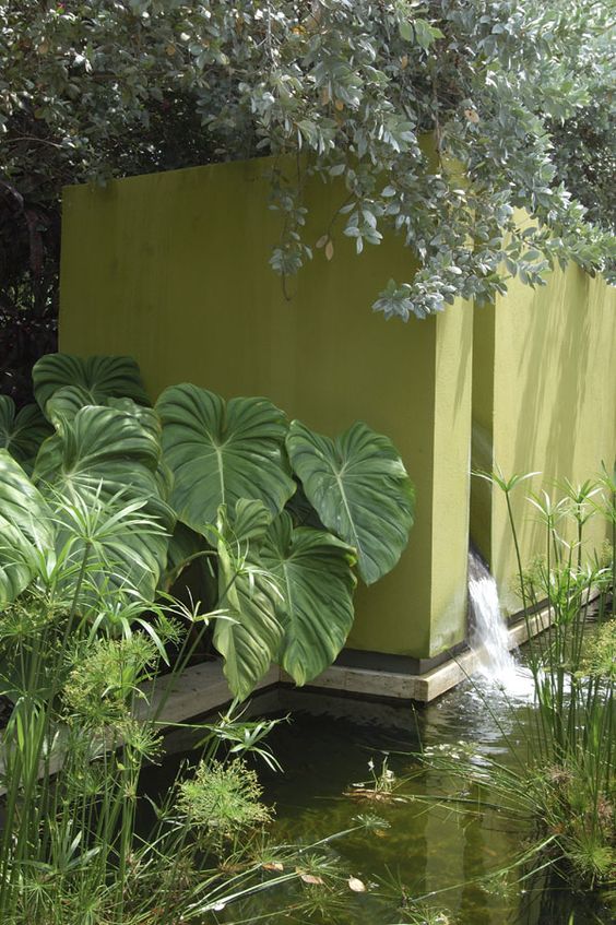 5个佳遇技巧，风落之痕，疑是春光的美好，却是人文之恋歌