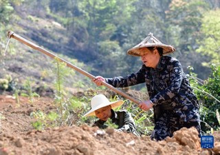 40多年，1万多亩！黄秋水的“绿化情缘”