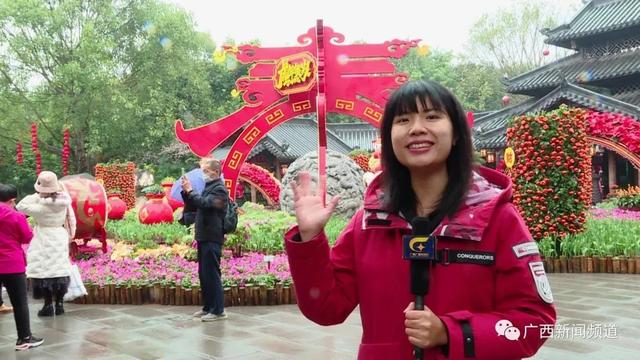 去青秀山观“虎”吗？真没和你开玩笑，一起沾沾“虎气”吧