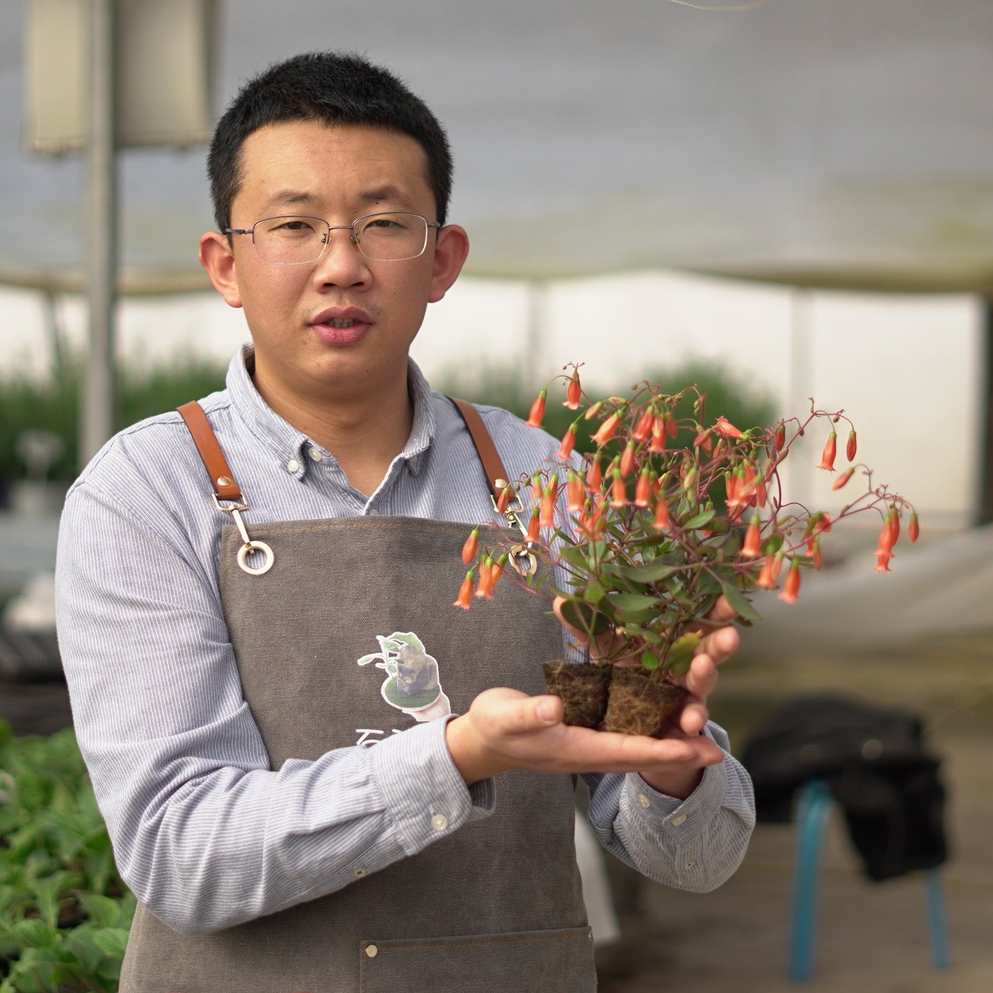 1种长寿花，花朵就像“小铃铛”，1棵小苗就能开20朵花