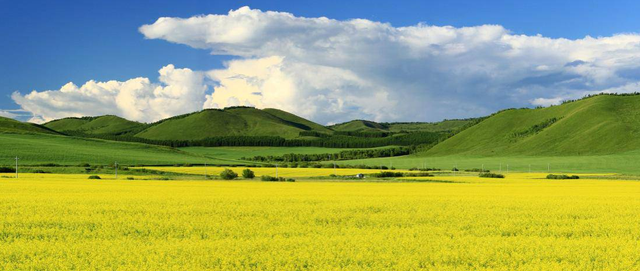 对牧区草原生态修复的认识与思考 对牧区草原生态修复的认识与思考