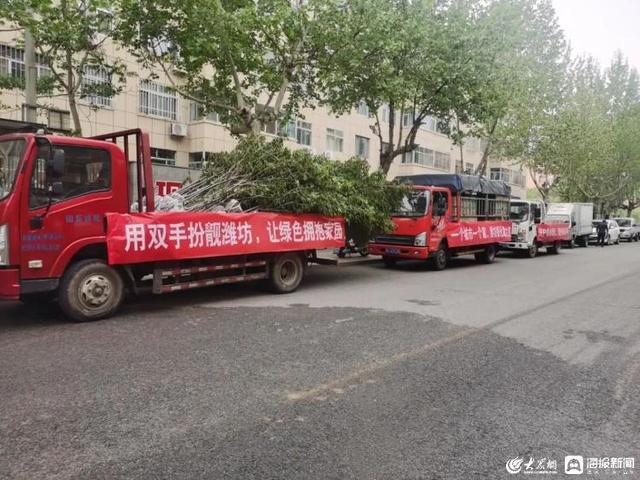 潍坊市园林环卫服务中心：绿化服务送到家 手把手教市民种树养花
