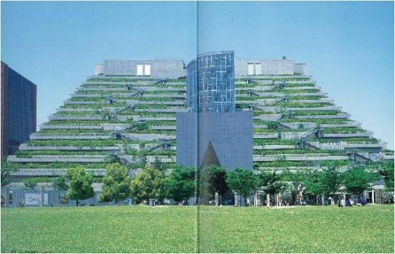 薄层屋顶绿化进阶版：在屋顶种大树、开菜园！