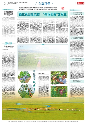 绿化荒山生态树 “弄色芙蓉”文冠花