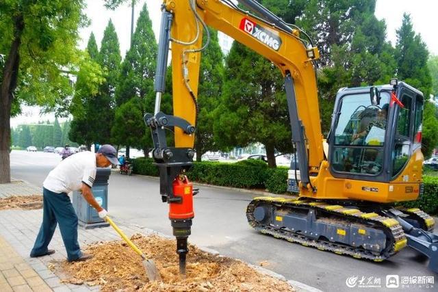 青州市：有序推进“双清亮剑”行动 做细绿化养护“关键动作”