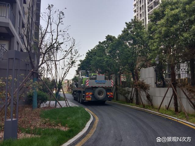 景观绿化工程影响苗木成活的主要因素有哪些？