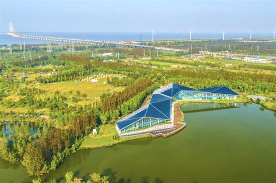 长兴岛郊野公园9日恢复开园 百亩玫瑰园景观升级