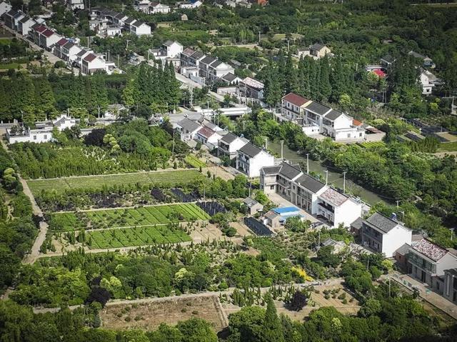 久久为功 绘就美丽乡村最靓底色——全省村庄绿化建设工程掠影