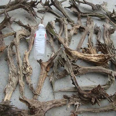 被人扔掉的高瓷盆，捡回来种上花，摆客厅很大气