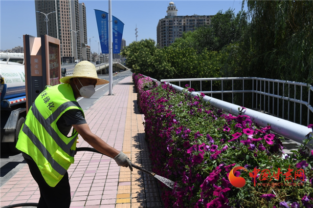 兰州市城关区：绿化管护不松懈 疫情过后看花艳