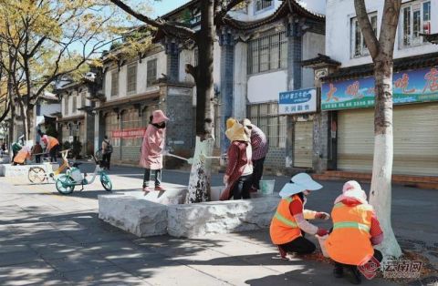 昆明西山区绿化养护行道树换“新衣” 昆明西山区绿化养护行道树换“新衣”