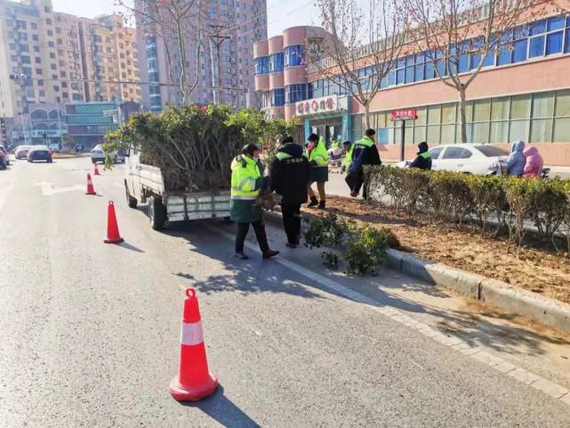 兰考县园林中心：突出精细管护 园林绿化“绣”出成华风采