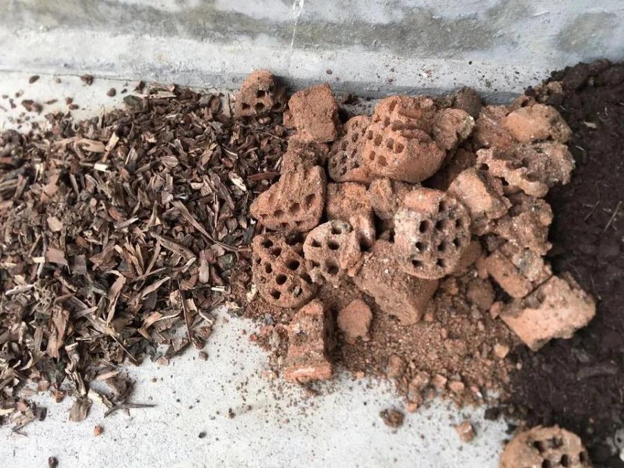 这些表现，妥妥的“花痴”没错了，来看看你是否已养花成“痴”