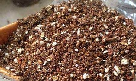 养花，坚持稀肥多施的原则，尽量不用碱性水浇花